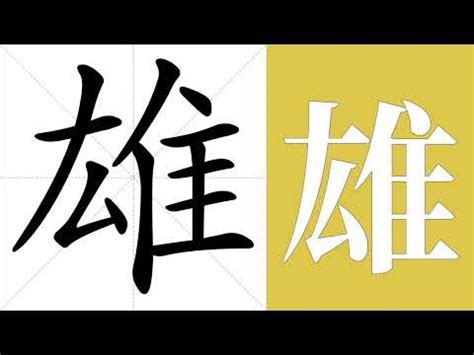 雄的意思